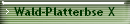 Wald-Platterbse X