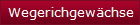 Wegerichgewchse