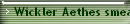 Wickler Aethes smeathmanniana