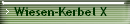 Wiesen-Kerbel X