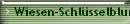 Wiesen-Schlsselblume