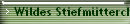 Wildes Stiefmtterchen