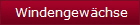 Windengewchse
