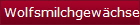 Wolfsmilchgewchse